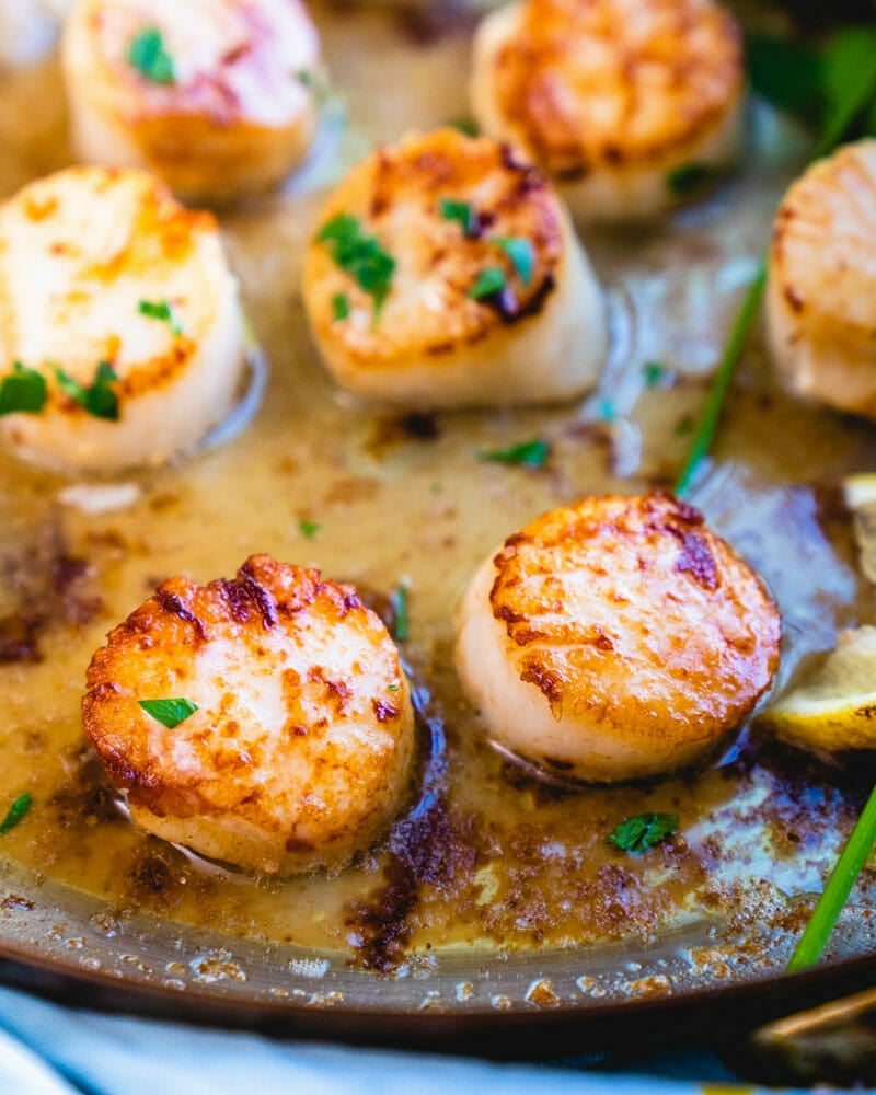 Scallop recipes